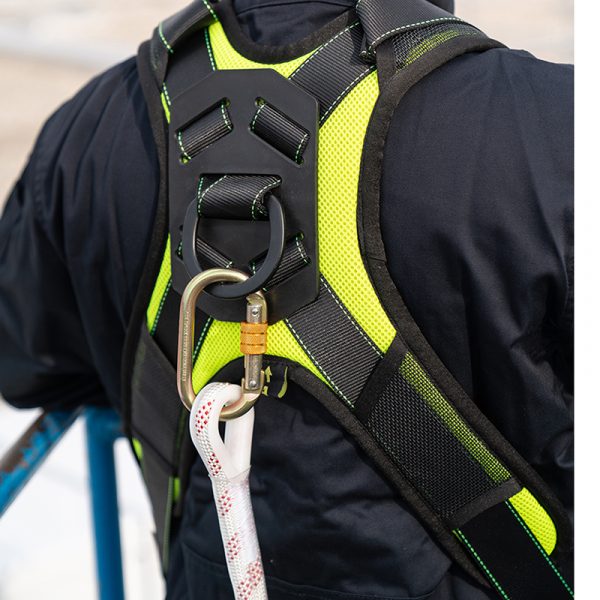 Xtreme1 Curea, Căptușeală Buretată