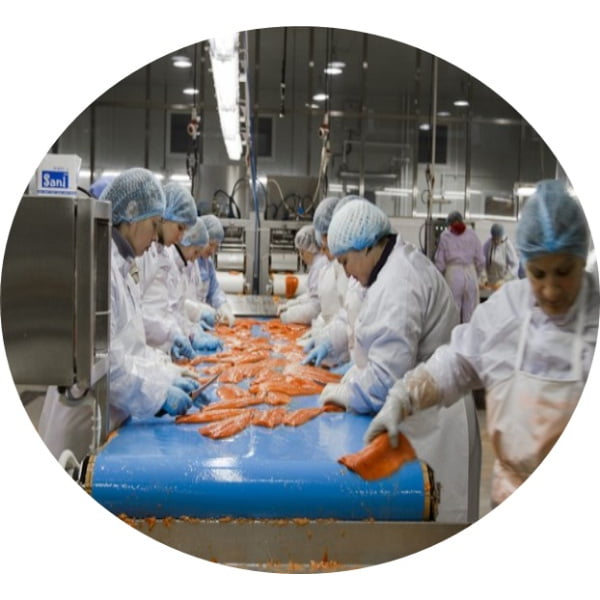 Cremă de protecție înainte de lucru AZETT AQUA, STOP, pentru mâinile care intră în contact cu soluții pe bază de apă, rezerva 1000ml, pentru dispenserul GJ4500