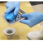 IGX1003-Perie mica de mana, dreptunghiulara, Igeax 1003, peri scurti, duritate medie, 121 °C, ind. alimentara, HACCP, FDA-1